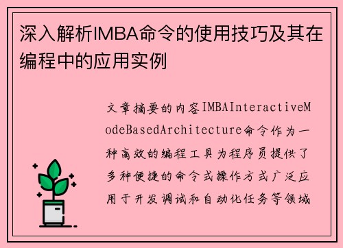 深入解析IMBA命令的使用技巧及其在编程中的应用实例