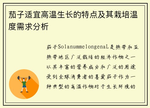茄子适宜高温生长的特点及其栽培温度需求分析